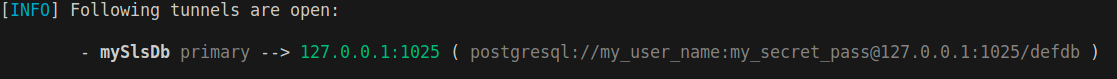Terminal output after starting tunnel